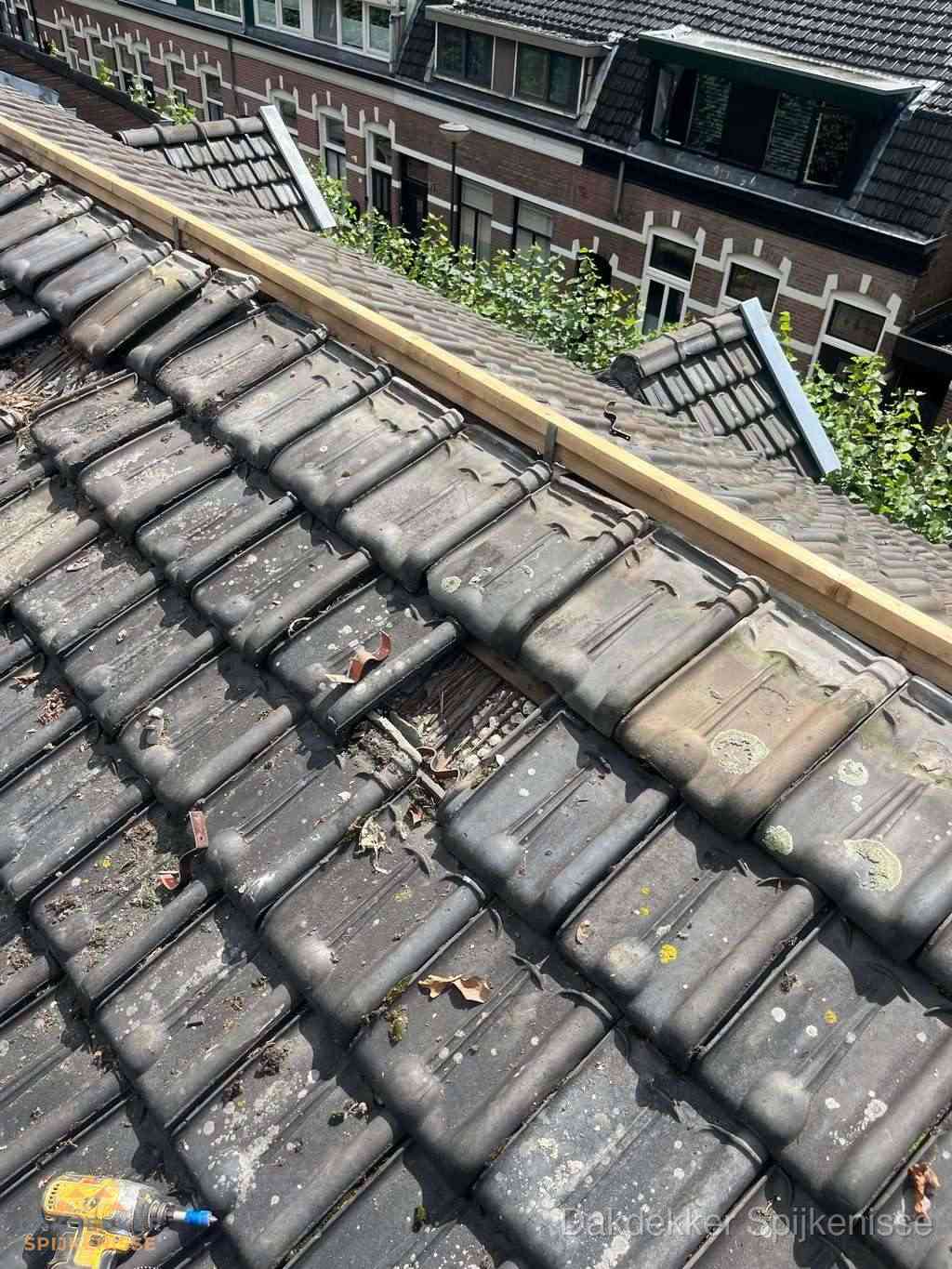 Dakonderhoud Spijkenisse Dakonderhoud Spijkenisse