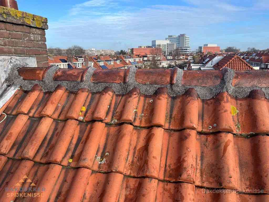 Spijkenisse Daken Renoveren Spijkenisse Daken Renoveren
